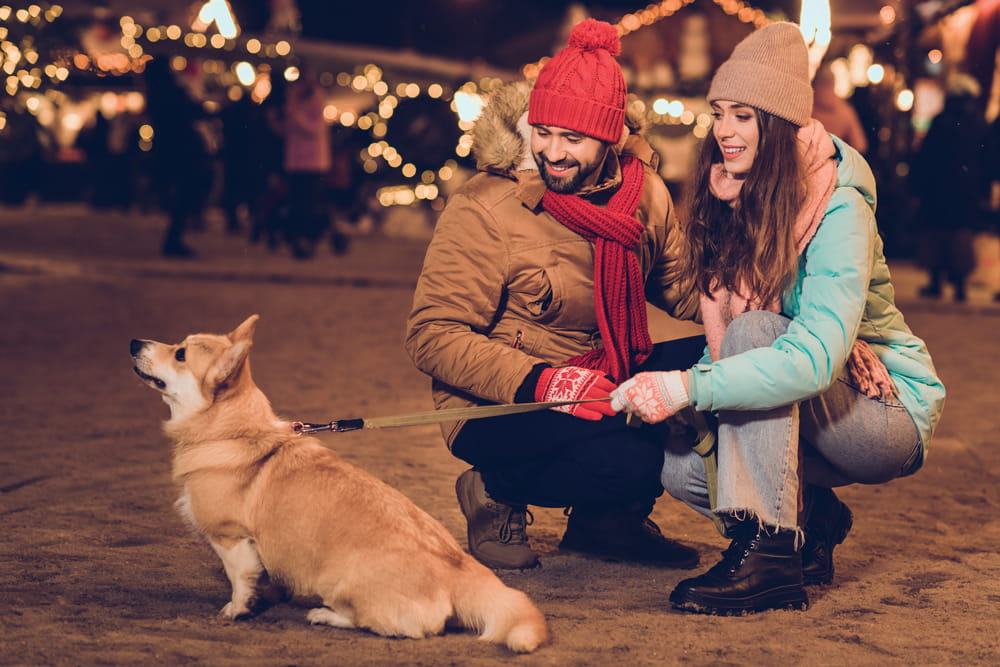 Two individuals in winter clothing holding their dog on a leash outside 