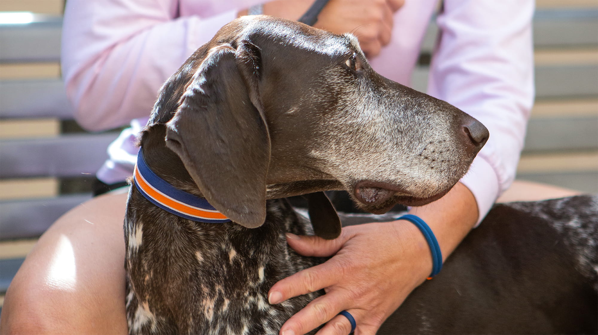 Abba the Dog with Owner