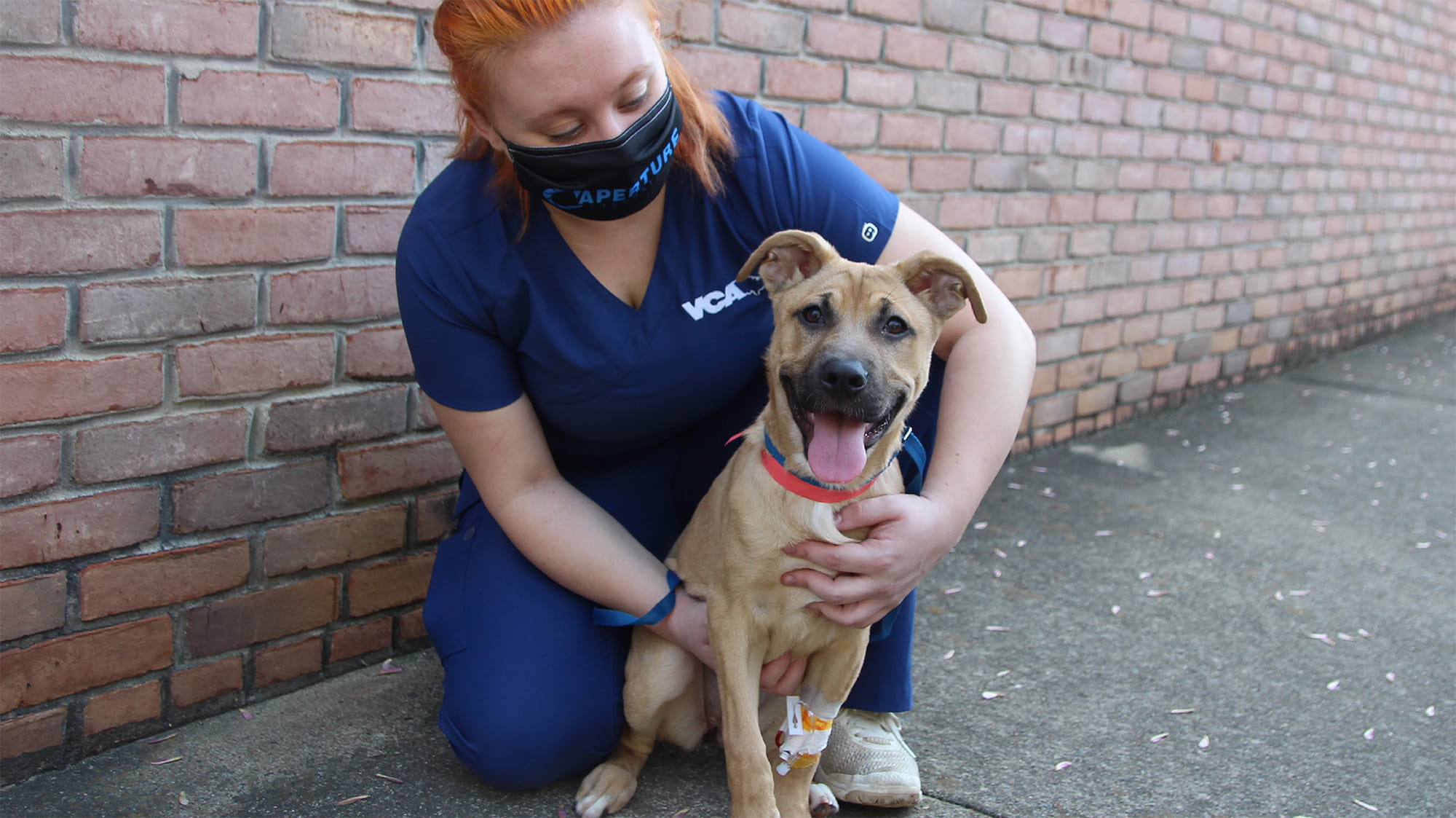 Vet tech with puppy