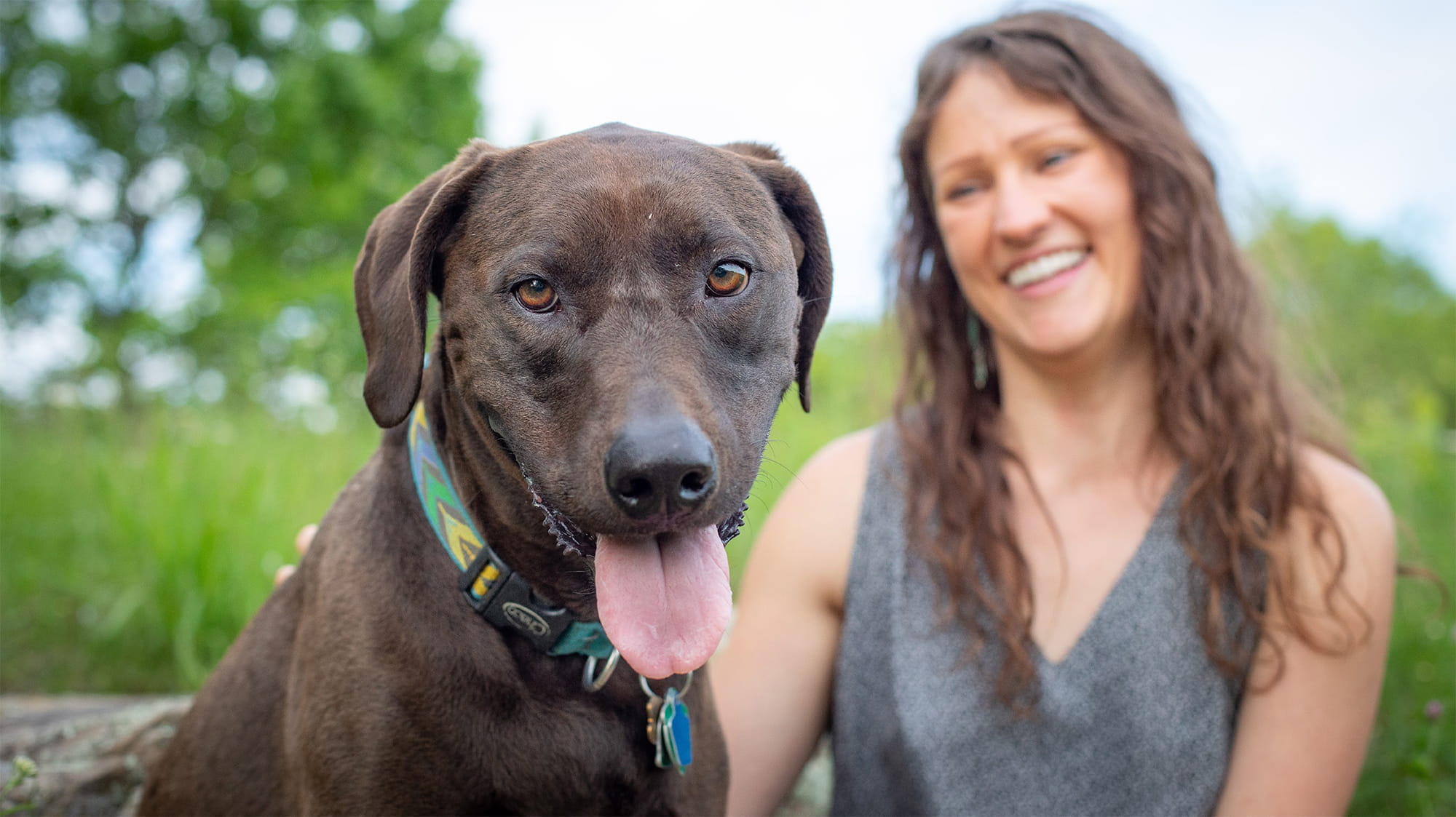 Mixed breed dog and owner