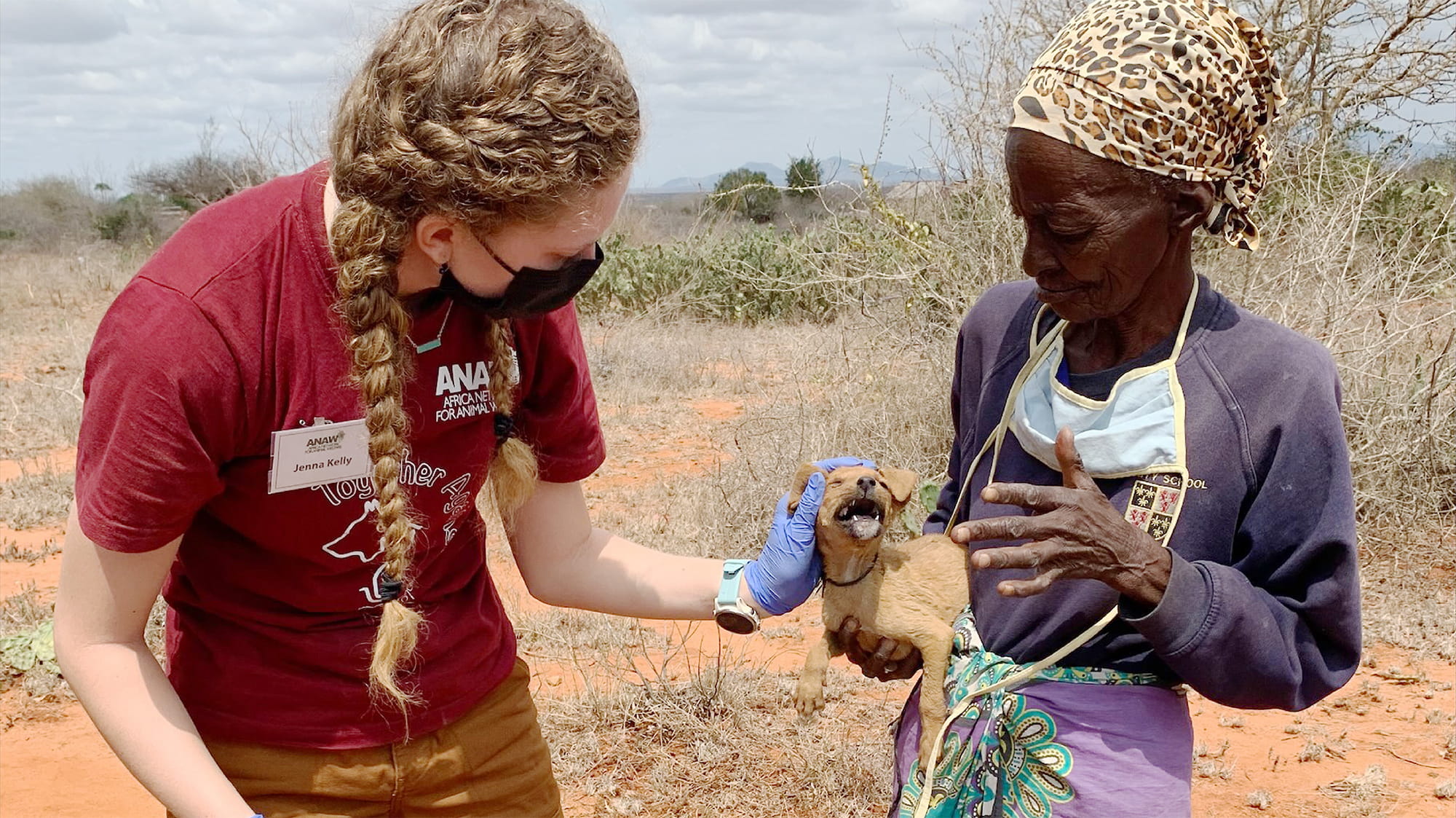 Volunteering In Africa