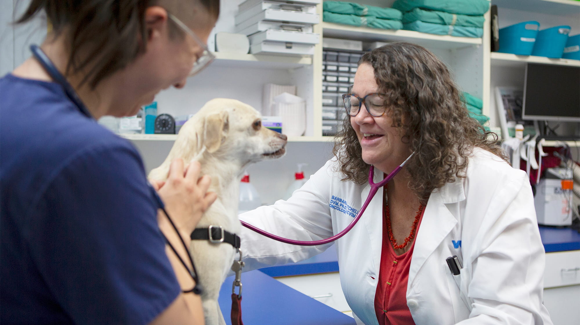 Dr. Kitchell examing a dog with a vet tech