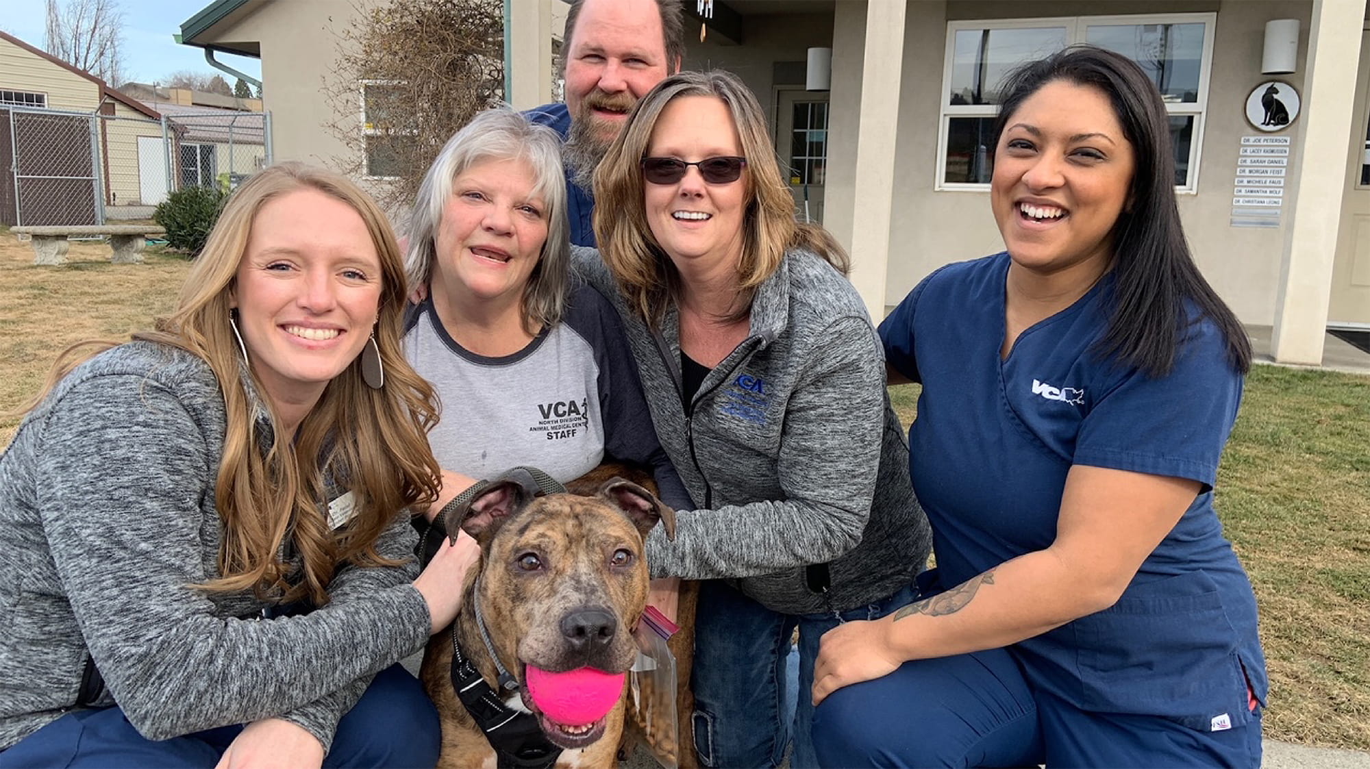 Dog with rescuers