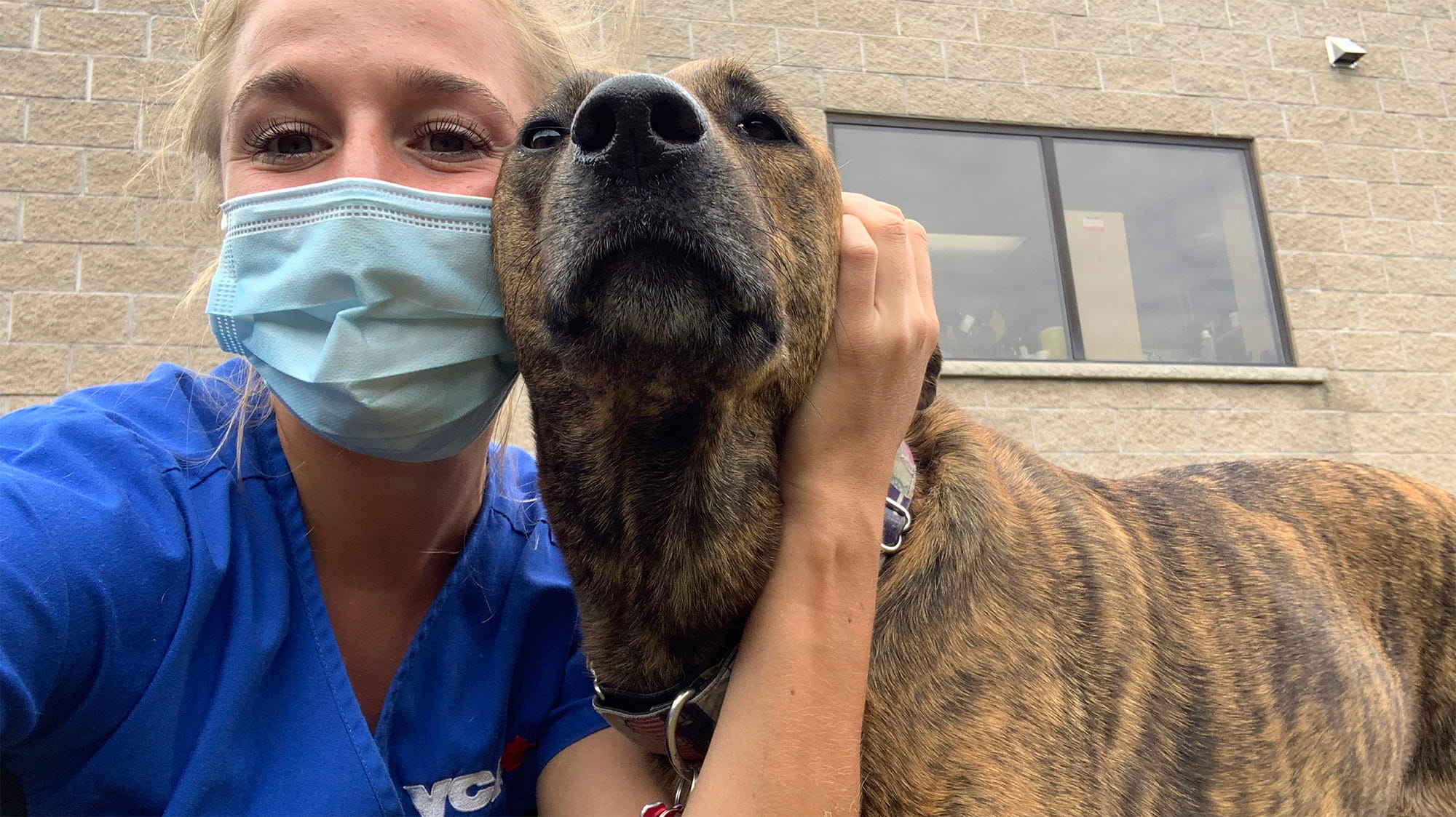 Taysia Radoslav with Brown Dog