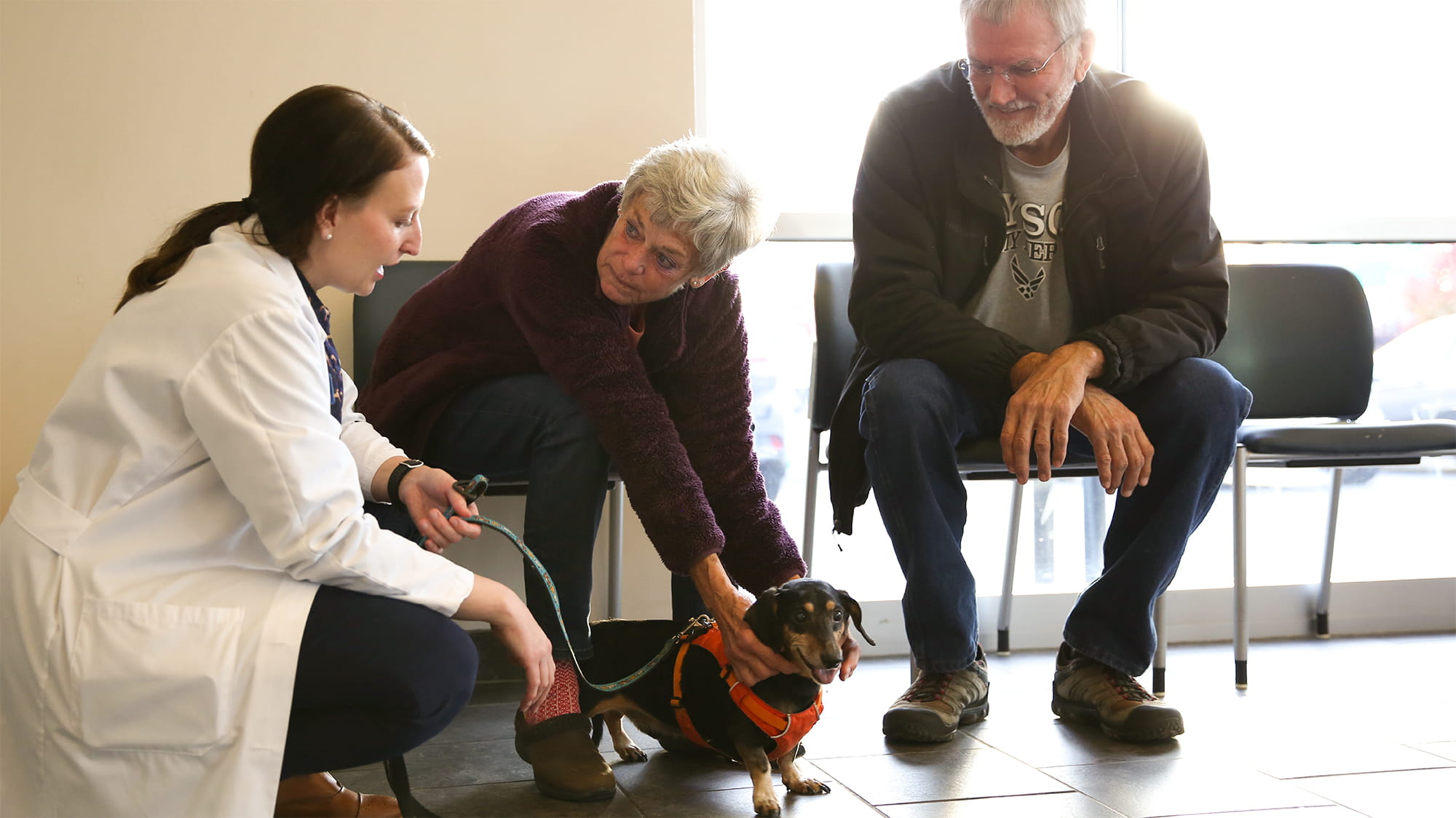 Dog with veterinarian and family