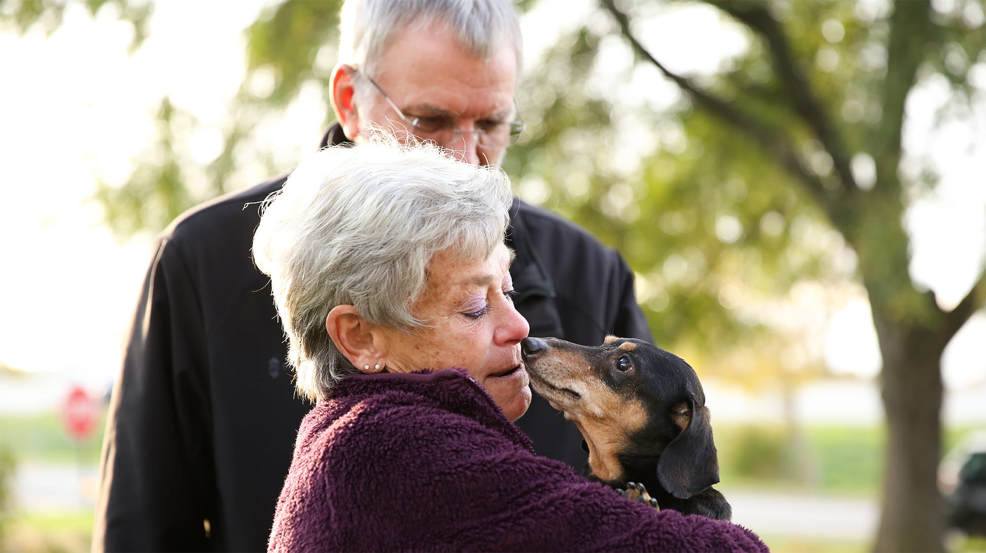 Dog kissing owner