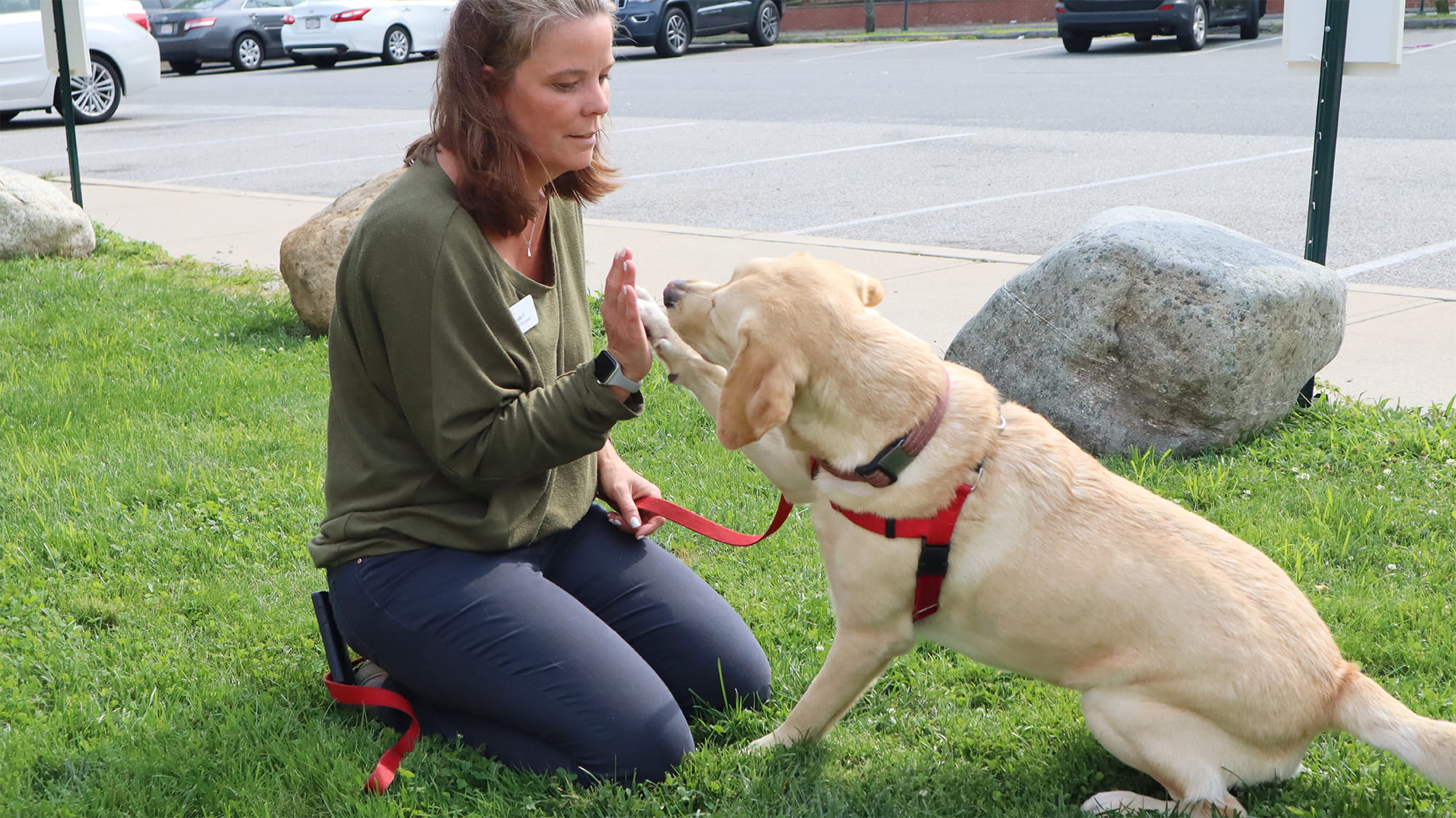 Koda the dog with owner