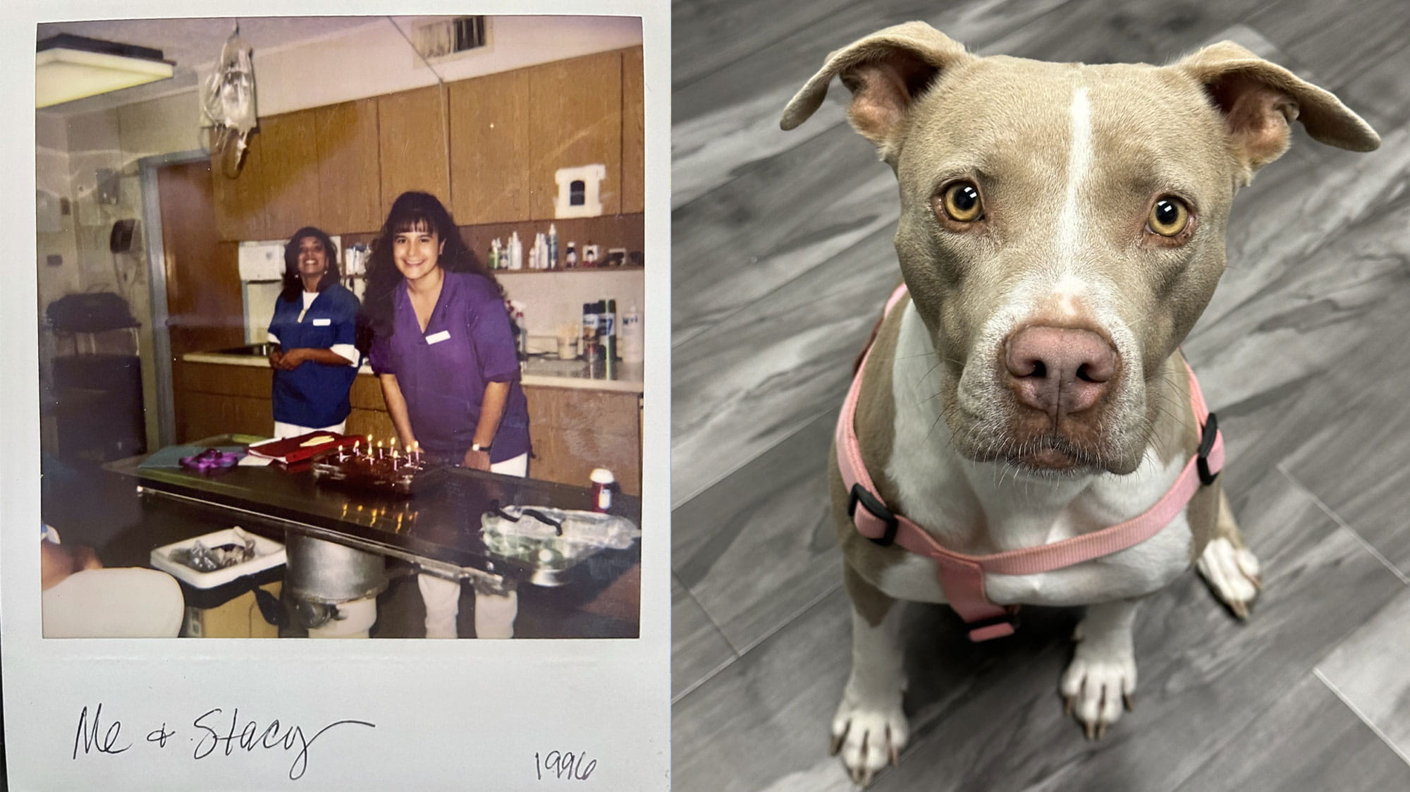 Left - Polaroid image of Michelle Gonzales and coworker Stacy in 1996, Right - headshot of dog looking forward wearing pink harness