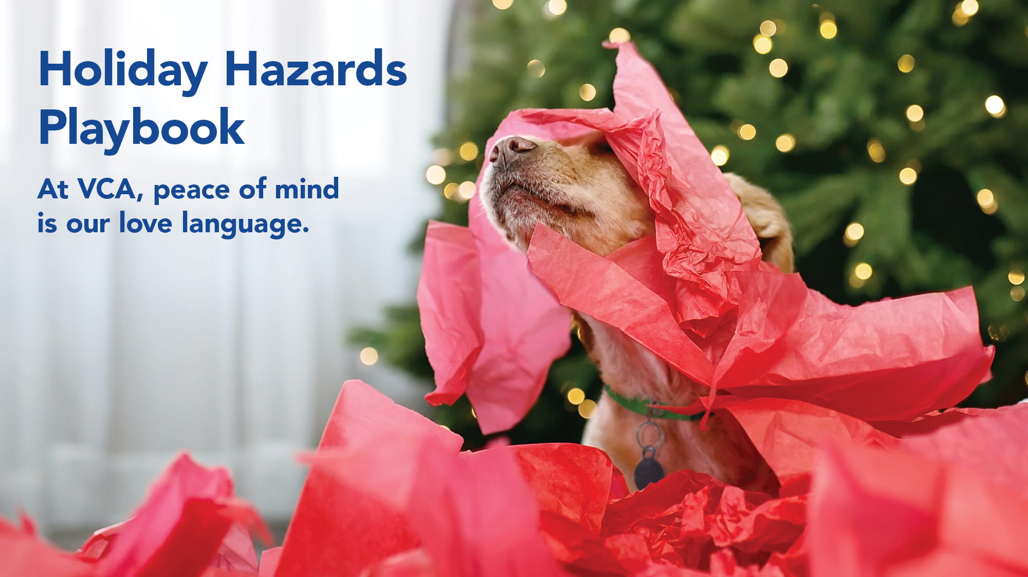 2024 Holiday Hazards Playbook for Pet Owners