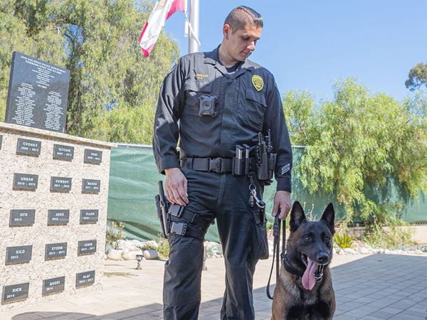 VCA Voice K9 Officers