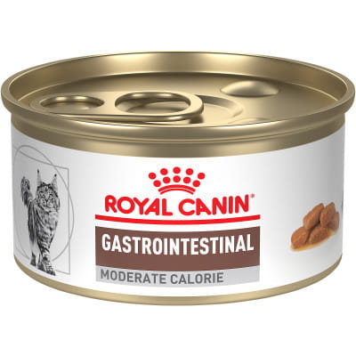 https://vcahospitals.com/-/media/2/project/vca/shop/product-images/r/royal-canin-veterinary-diet-feline-gastrointestinal-moderate-calorie/40664003ea/40664003ea_updated.jpg?rev=0d459e04b1244d0e988f6f88c9a01f94