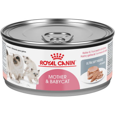 https://vcahospitals.com/-/media/2/project/vca/shop/product-images/r/royal-canin-feline-health-nutrition-mother-and-babycat-canned-cat/41442103ea/41442103ea_front.jpg?rev=6f99debd4ccd4192a8707a8b1fb4b93f