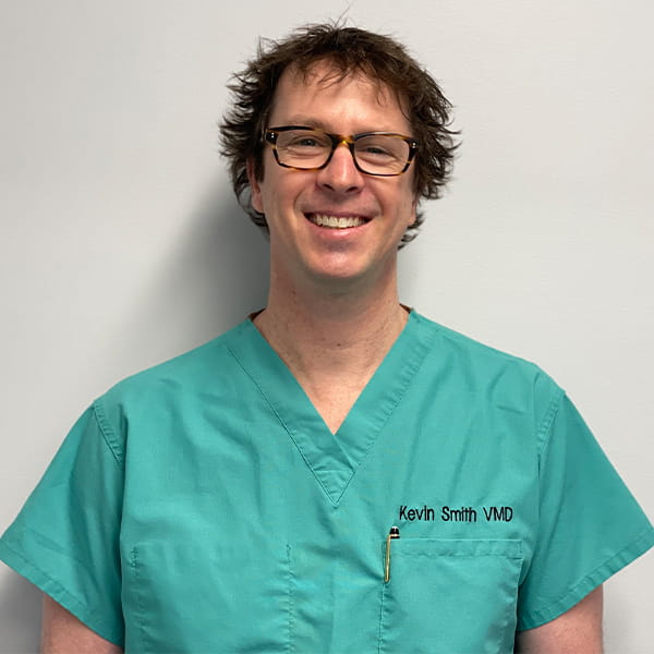 VCA Voice Dr. Kevin Smith