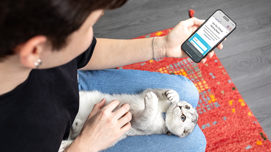 Woman with cat making an Urgent Care appointment on her phone