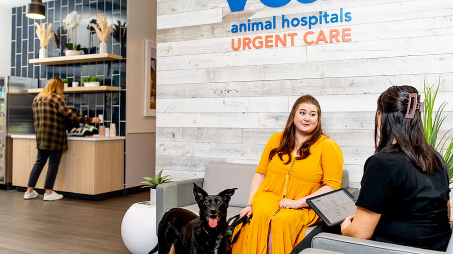 Woman with black dog in VCA Urgent Care lobby talking to veterinary assistant