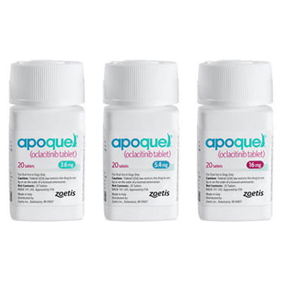 https://vcahospitals.com/-/media/2/project/vca/shop/product-images/a/apoquel-tablets/apoquel_tablets.jpg?rev=b336e819686d4cff82672c00b0540271