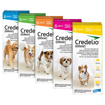 https://vcahospitals.com/-/media/2/project/vca/shop/product-images/c/credelio-for-dogs/credelio_family_2020.jpg?rev=00e8a8a4325e42009b4e405e0b4c3519