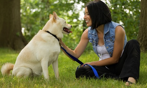 Using Predictable Rewards to Train Your Dog