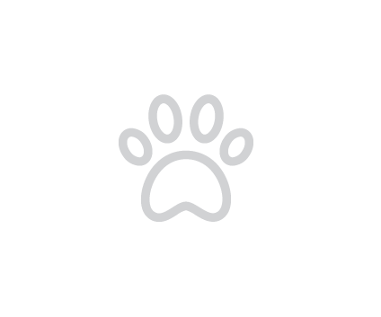 paw print icon