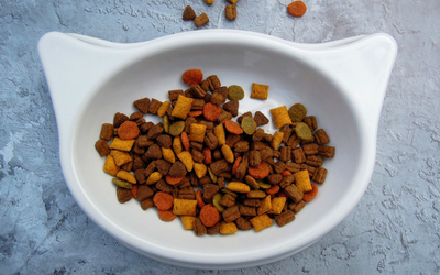 What's in My Cat's Food?: Designer Diets, Grain Free Diets